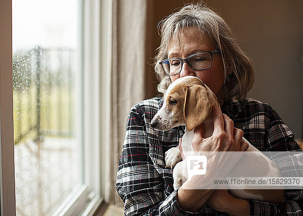 60-jährige Frau hält ihren neuen Dackelwelpen zu Hause am Fenster