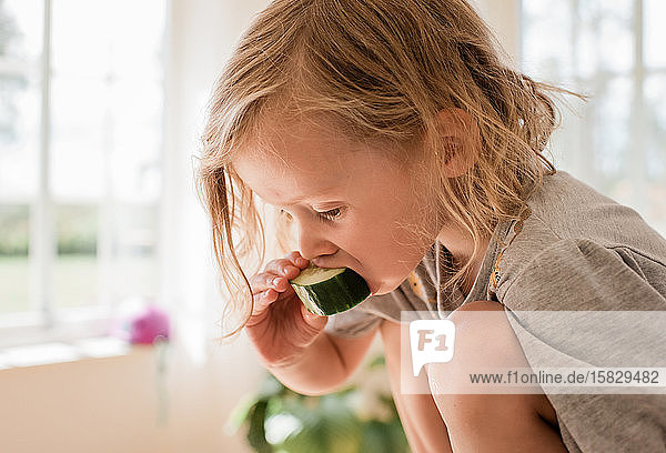 Porträt eines jungen blonden Mädchens  das zu Hause Gurke isst
