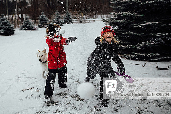 Kinder  die mit Hund Schneebälle auf die Kamera werfen