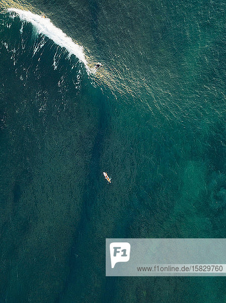 Luftaufnahme von Surfern im Meer