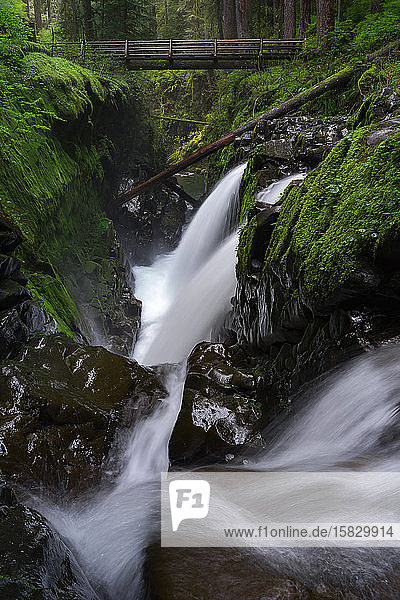 Wasserfall  der im moosbewachsenen Wald unter einer Holzbrücke fließt