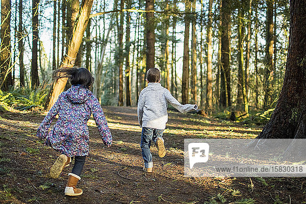 rear view of boy and girl running through the forest.