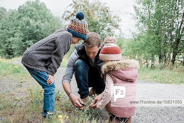 Vater  der seinen Kindern zeigt  wie man Blumen im Freien beim Gehen schneidet