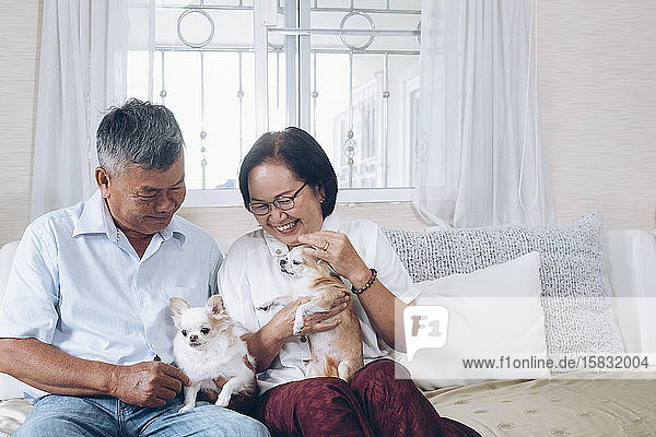Asiatisches älteres Ehepaar  das die Hunde auf der Couch im Mietshaus hält