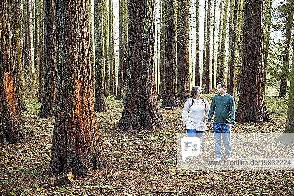 couple walking through forest  holding hands.