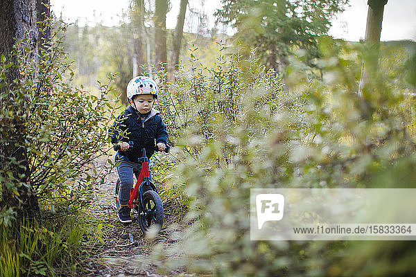 Toddler boy riding bike through dense forest.