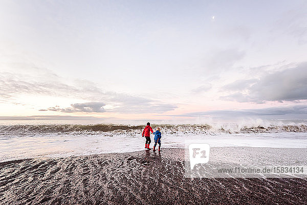Zwei Jungen spielen gemeinsam draußen an der neuseeländischen Küste