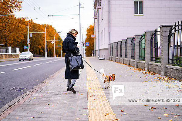 Eine Frau geht in der Stadt mit einem Kavalier King Charles Spaniel Hund spazieren.