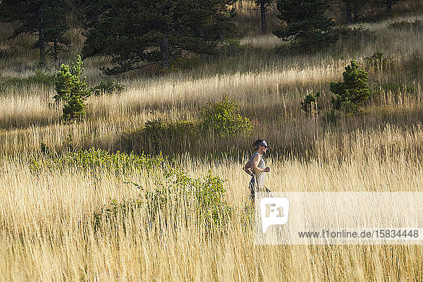 Mann rennt durch hohes Gras im Bear Canyon oberhalb von Boulder  Colorado