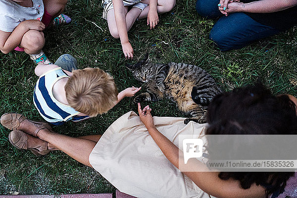 A group of people pet a cat.