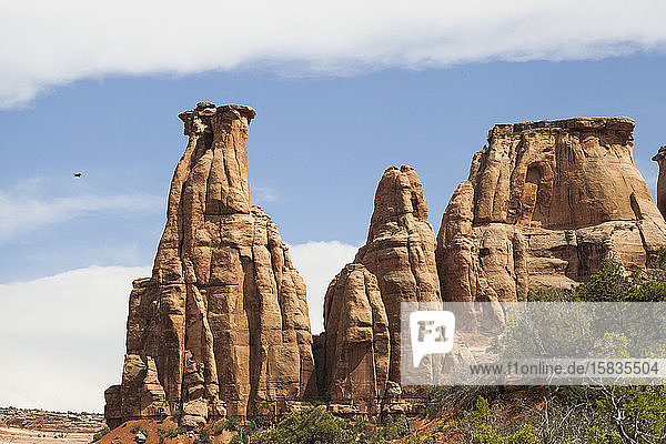 Sandsteintürme im Monument Canyon  Colorado National Monument