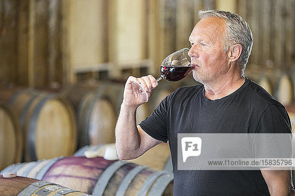 Man Wine tasting in storehouse at a local vineyard.