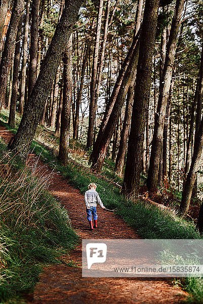 Child walking on path in forest in New Zealand