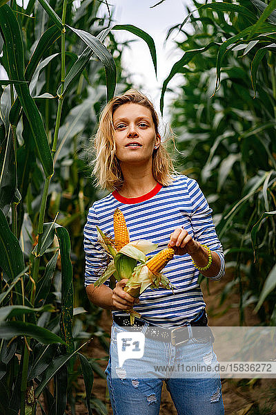 Young woman in stripped ves shirt in a corn field picking up the corn.