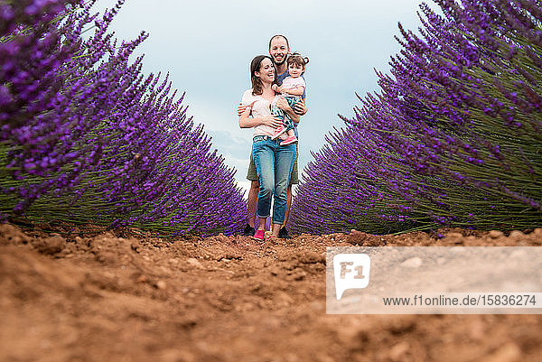 Glückliche Familie beim Spaziergang zwischen Lavendelfeldern im Sommer