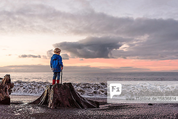 Curly haired boy standing on stump at beach