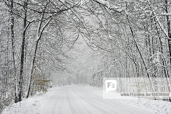 Michigan Winterfahrt auf schneebedeckter Straße