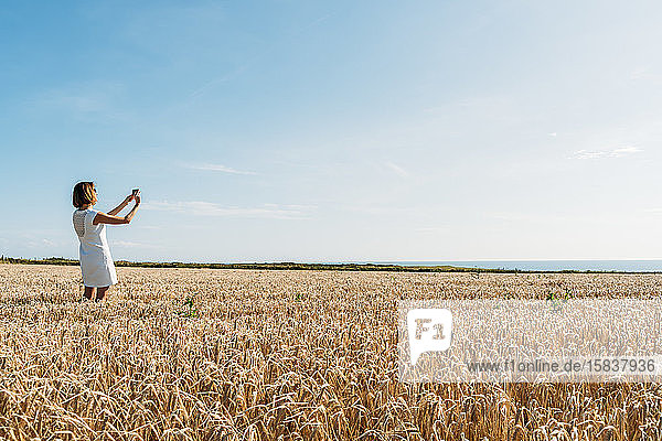Frau nimmt ein Selfie auf dem goldenen Grasfeld gegen die Sonne.