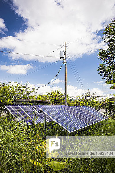 Sonnenkollektoren speisen Energie in das Stromnetz ein.