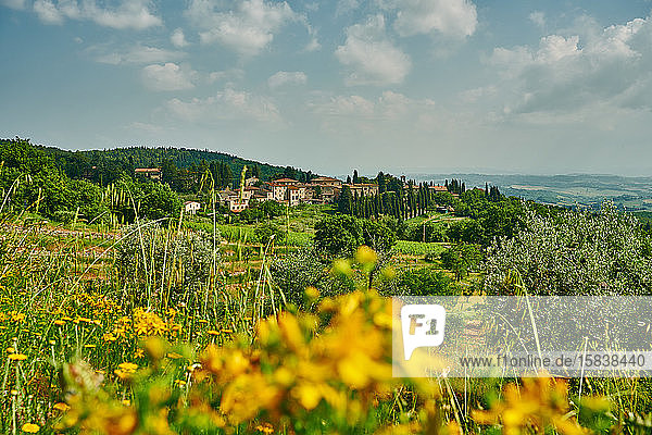 Feld mit Blumen und alte Siedlung in Italien