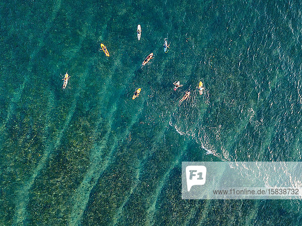 Aerial view of surfers in the ocean
