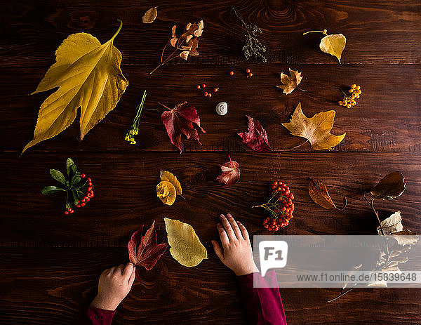 Sammlung von Herbstlaub auf Holztisch mit Kinderhänden