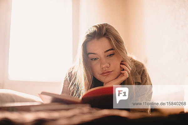Junge Frau liest zu Hause im Bett liegend ein Buch
