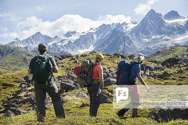 Drei Wanderer genießen die Aussicht auf die Talkeetna-Berge  Alaska