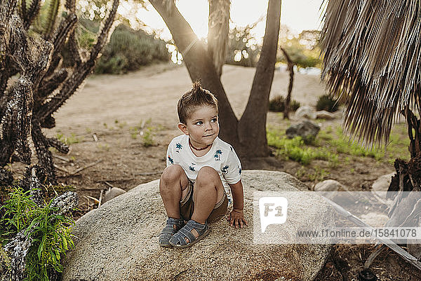 Porträt eines Jungen  der auf einem Felsen sitzt und im Kaktusgarten lächelt