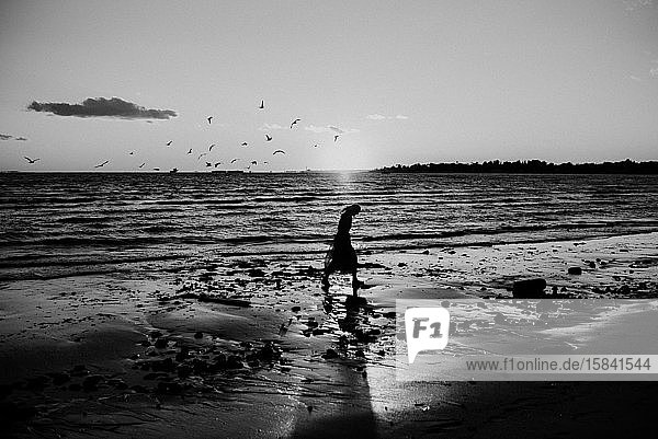 Frau  die bei Sonnenuntergang mit Vögeln am Strand spazieren geht