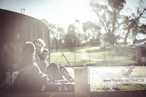 Freunde mit Hunden sitzen und lachen draußen im Sonnenlicht auf dem Bauernhof