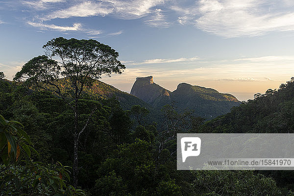Blick auf Berge und grüne Dschungellandschaft vom Tijuca-Wald