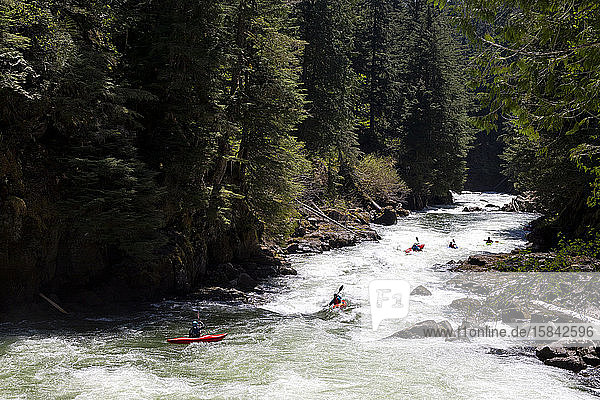 A group of whitewater kayakers paddle down the Callaghan creek.