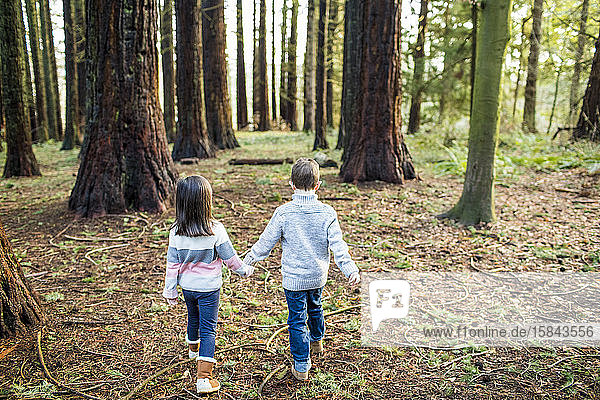 Rückansicht von süßen Kindern  die durch den Wald laufen.