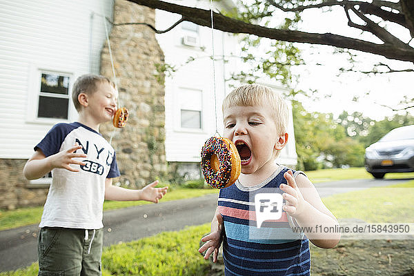 Zwei Jungen versuchen  Donuts zu essen  die am Baum hängen  ohne die Hände zu benutzen