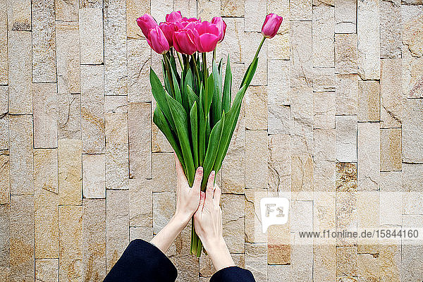 Hände  die eine Tulpenhandtasche auf dem Wandhintergrund halten