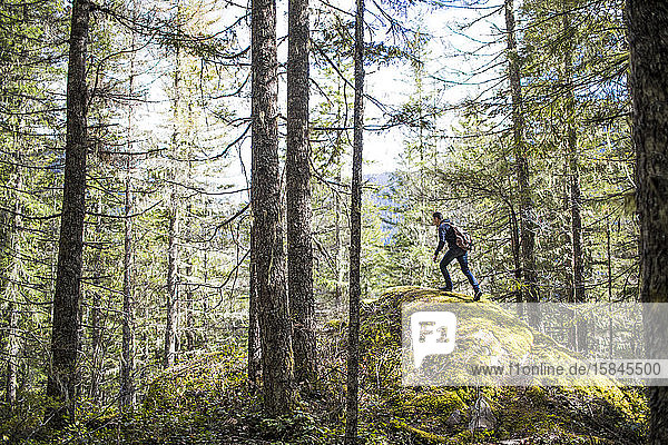 hiker ascends moss-covered boulder in forest.