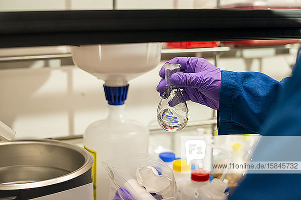Wissenschaftler bereitet in einem Labor die Zugabe einer klaren Flüssigkeit aus einem Florenz-Kolben vor
