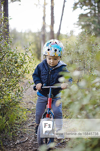 Junge fährt Fahrrad durch den Wald.