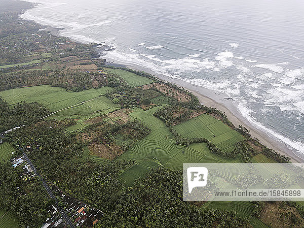 Luftaufnahme  Agrarland  Landwirtschaft  Bali  Strand  Schönheit von