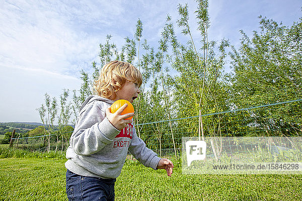 Gaspard  ein kleiner Junge  der auf einer grünen Wiese auf dem Land Bälle spielt und Spaß hat  Caurel Bretagne  Frankreich.