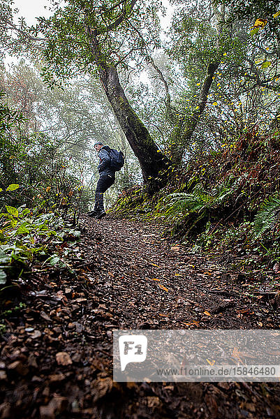 Man looking back while hiking up hill on Northern California trail