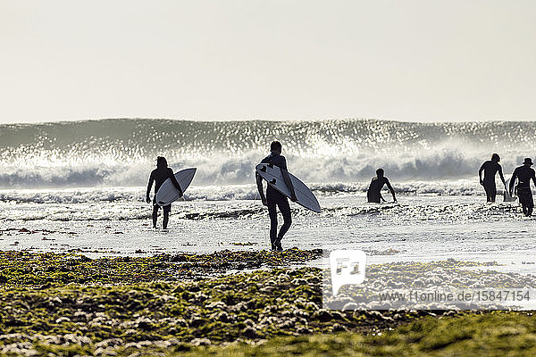 Gruppe von Männern mit Surfbrett am Strand spazieren