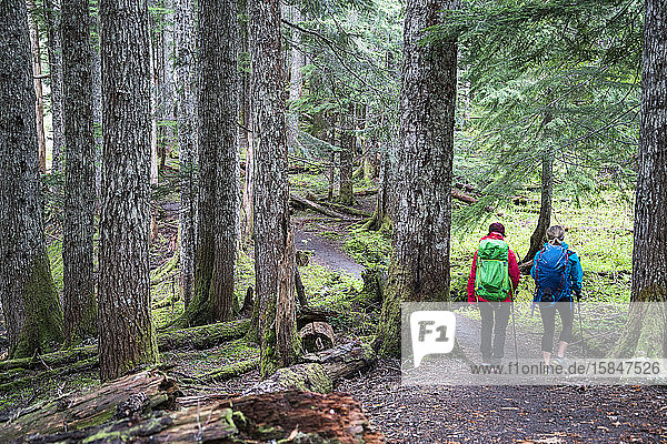 Two female hikers on a trail in the Mt. Baker Wilderness