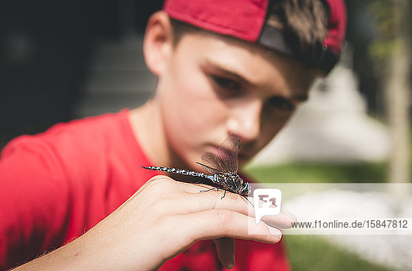 Close up of boy examining a dragonfly that he is holding on his hand.