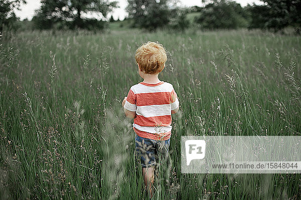 Toddler boy in striped shirt walking into a tall grassy field outdoors