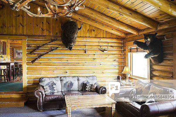 Log Cabin Lounge  Wisent und Bär an der Wand  auf der Heart Six Ranch