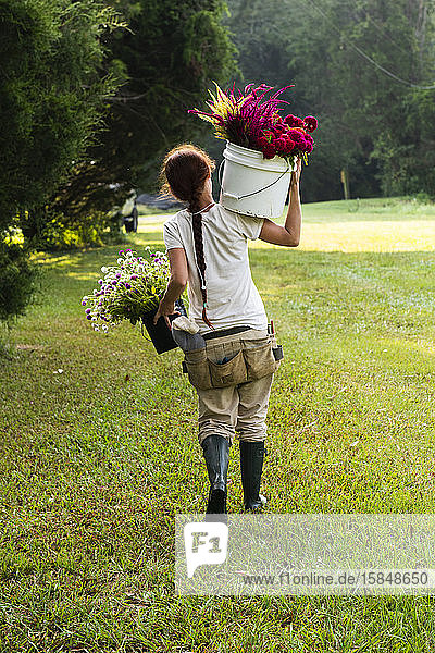 Junge Frau hält zwei Eimer mit frisch geschnittenen Blumen in einem grünen Feld
