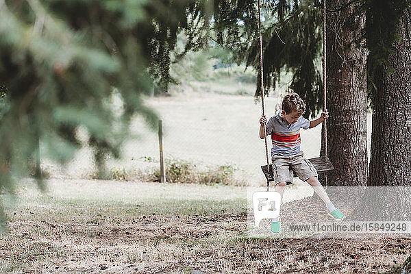 Front view of boy sitting on swing under pine trees