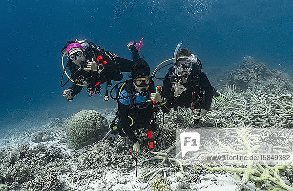 3 friends exploring the great barrier reef / Australia